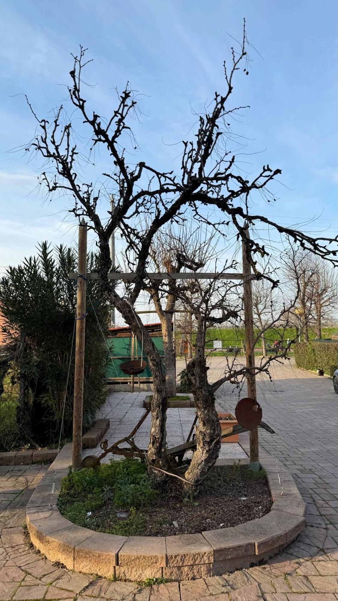 La Busa Camere E Trattoria Ponte San Nicolò Dış mekan fotoğraf